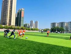 欢声笑语足球赛场一片繁荣，国内球员斗志昂扬