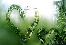 皇马前锋失准，带头羊地位岌岌可危的简单介绍